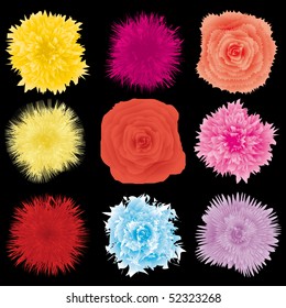 Set of flower design element, part 1, vector illustration