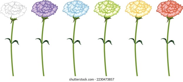 Conjunto de flor con una ilustración de color diferente