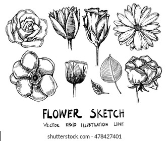 Set of flower doodle sketch