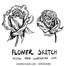 Set of flower doodle sketch