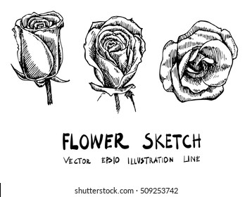 Set of flower doodle sketch