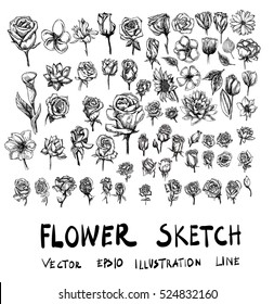 Set of flower doodle sketch