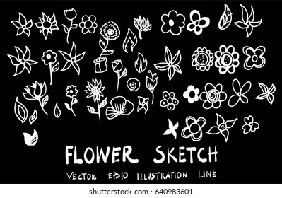 Set of flower doodle sketch on chalkboard