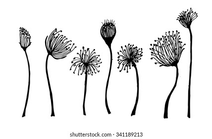 Set of flower doodles flower

