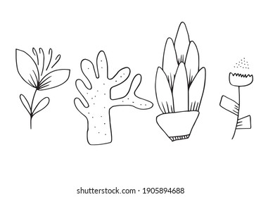 Set of flower doodles flower isolated on white background.