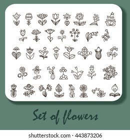 Set of flower doodles. Vector illustration for printing and design element.