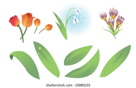 set flower elements