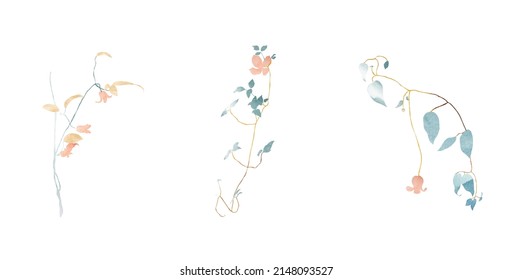 Set of flower with garden and branch of leaves vector flat illustration. Collection of various blooming plant with stems and leaves isolated on white. Floral decoration or gift with watercolor texture