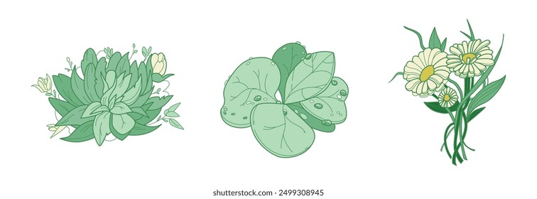Set of flower greenery leaves line art isolated. Spring floral garden roses black logo wreath sketch plant. Vector illustration botanical stem, green leaves, floral bloom