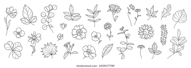 Conjunto de vector de elemento dibujado a mano de flor. Colección de follaje, rama, floral, hojas, flor silvestre, girasol, eucalipto. Diseño de la ilustración de la flor de la primavera para el logotipo, boda, invitación, decoración.