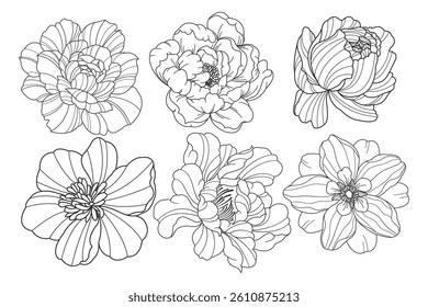 Set of flower. Hand drawn elements. Plant Art design for print, cover, wallpaper, Minimal and natural wall.