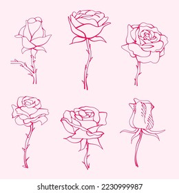 conjunto de flores. rosas dibujadas a mano. dibujo de la flor de rosa. Ilustración de flores de rosa con estilo dibujado a mano. flor linda. contorno rosado. 