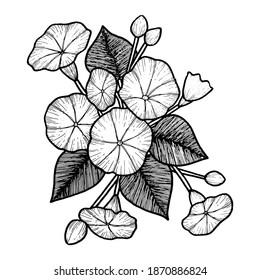 A set of flower with Hand drawn vintage illustration, flower and decoration elements perfect for print on t-shirt, card, poster and many more