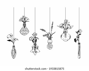 Set of flower in hanging light bulbs. Collection of floral light bulbs with botanical elements. Lamp vase field flowers. Home decoration. Vector illustration on white background.