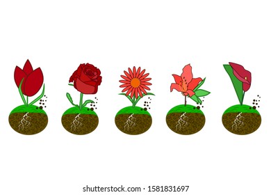 Set flower icon isolated on white background. Tulip, rose, echinacea, azalea, calla lilies in simple flat style logo. For flower shop, label, banner, packaging design. Stock vector illustration
