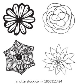Icono de la flor. Ilustración vectorial de una hermosa flor. Flor de sketch manual.