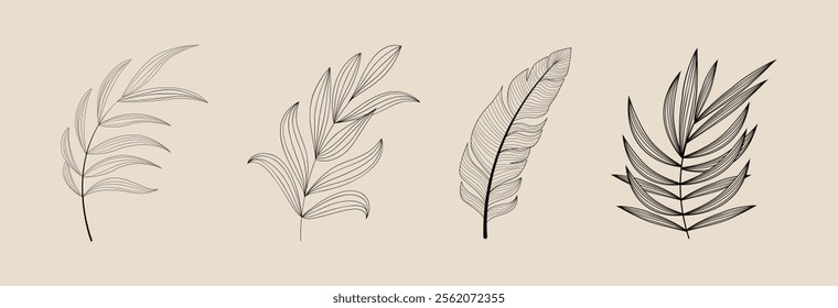 Set of flower icons on white background, isolated. Collection of floral signs for luxury minimalistic boho design. No fill and thin outlines plant symbols, garden and greenery with stem. Vector 10 eps