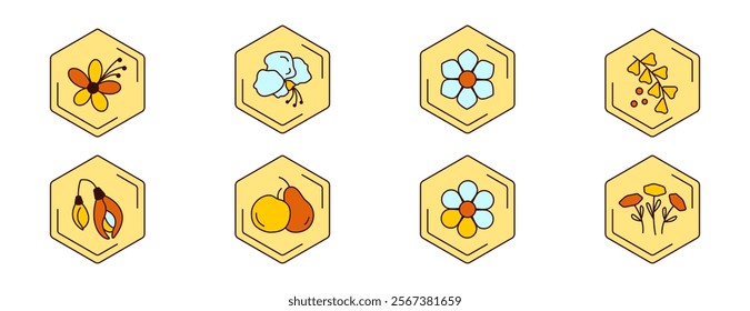 Set flower icons. Shape of hexagonal honeycomb with flowers. Theme of beekeeping, pollen, acacia wildflowers. sweet clover, calendula, chamomile.