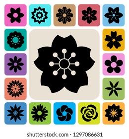 Set of Flower icons.Illustration eps10
