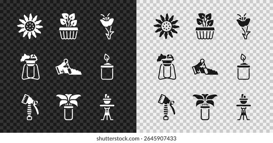 Set Flower, Indoor plant ivy in a pot, Water spray bottle, Exotic tropical, Plant on table, stand and Broken icon. Vector