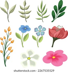 Colección de Flores y Hojas
