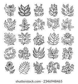 Set of flower and leaves hand drawn vector