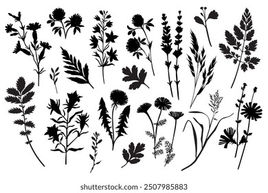 Conjunto de siluetas de flores y hojas. Elementos de diseño florales dibujados a mano. Contorno blanco y negro de flores silvestres y hojas aisladas sobre fondo blanco.