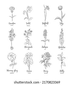 Set flower line art vector illustrations  Carnation  daffodil  larkspur  honeysuckle  tulip  lilies  peony  cosmos hand drawn black ink illustrations  Birth month flowers for jewelry  tattoo  logo 
