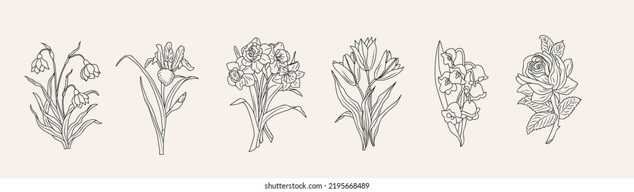 Set of flower line art vector illustrations. Rose, snowdrop, iris, tulips, daffodil, lilies of the valley hand drawn black ink illustrations.