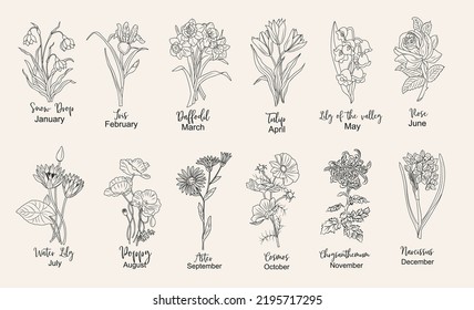Vector isolated tiny flower set. Small simple flowers line drawing Stock  Vector