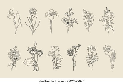 Conjunto de ilustraciones vectoriales de arte de la línea de flores. Daisy, marigold, rose, snowdrop, iris, aster, cerezo flor, crisantemo, narciso, loto, lirios del valle dibujados a mano con tinta negra.