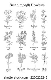 Set of flower line art vector illustrations. Carnation, daffodil, larkspur, rose, aster, lilies, peony, chrysanthemum hand drawn black ink illustrations. Birth month flowers for jewelry, tattoo, logo 