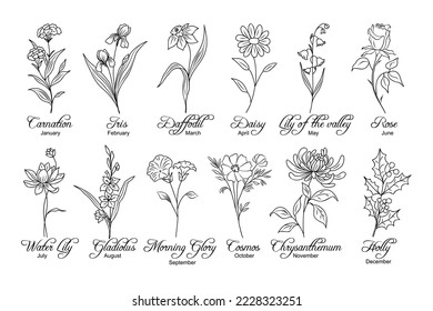 Set of flower line art vector illustrations. Carnation, daffodil, daisy, lilies, gladiolus, chrysanthemum, cosmos, holly hand drawn black ink sketch. Birth month flowers for jewelry, tattoo, logo. svg