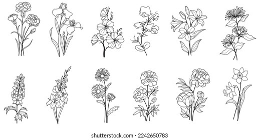 Set of flower line art vector illustrations.Birth month flowers set.