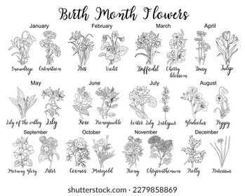 Set of flower line art vector illustrations.