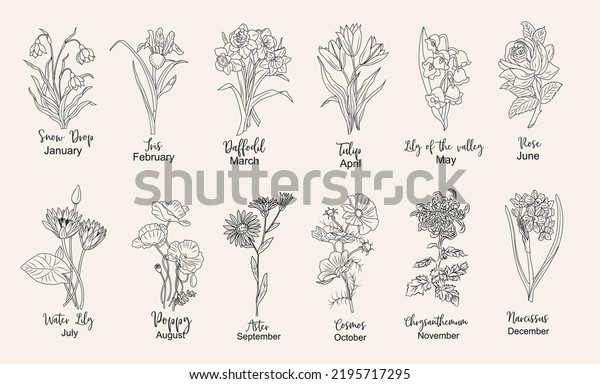 13,656 Daffodil Flower Drawing Images, Stock Photos & Vectors ...