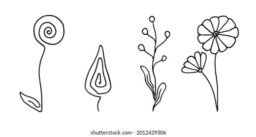 Set of flower line drawings isolated on a white background.