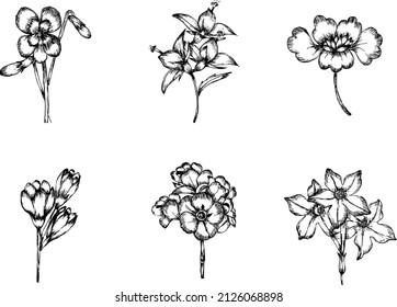 Conjunto de lino de flores para bodas y más decoración, ilustración floral. Vector