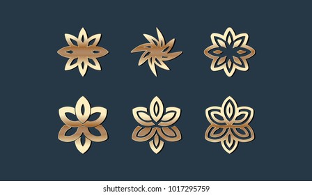 Set of Flower Logo Illustration Template Vector Design
