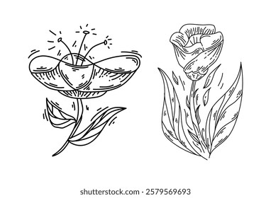 Set of flower nature ornament black outline sketch