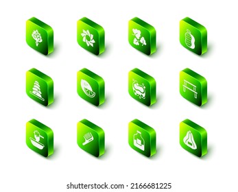 Set Flower, Oak leaf, Washcloth, Sauna wood bench, hat, Bar of soap, Bottle vodka and Hairbrush icon. Vector