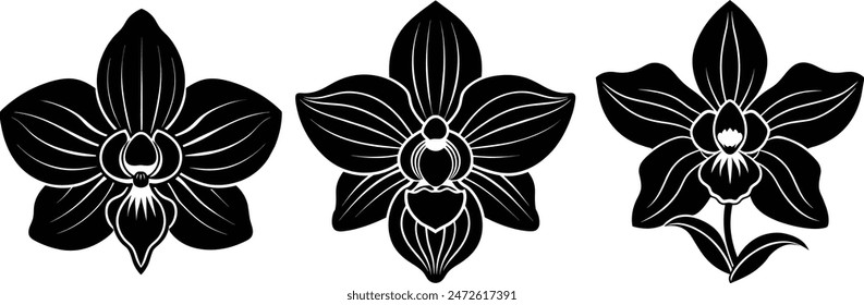 Set of flower petal element silhouette