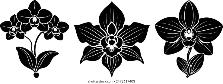 Set of flower petal element silhouette