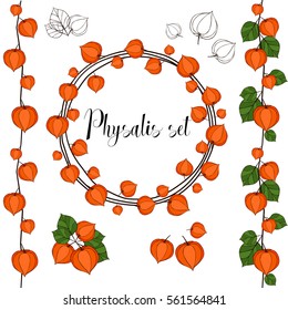 Set of flower physalis. Wreath, seamless brush.