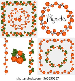 Set of flower physalis. Wreath, seamless brush.