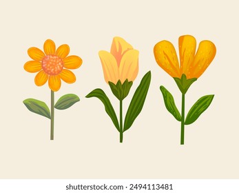 Set of flower, plants on pots, vases floral element vector illustration. Isolated on white background.