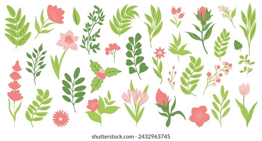 Set of flower plants. Simple flower plants isolated on white background. Colorful flat vector illustration
