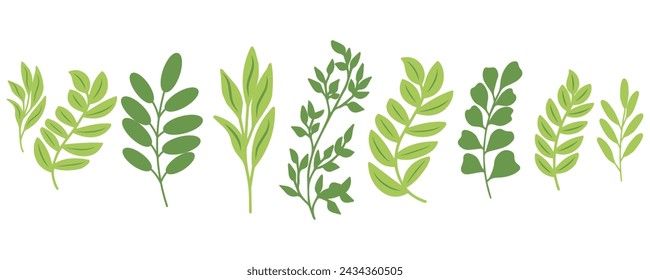 Satz Blumenpflanzen. Einfache Blütenpflanzen isoliert auf weißem Hintergrund. Bunte flache Vektor-Illustration