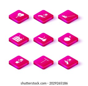 Set Flower in pot, Garden rake, Wooden box for fruits and vegetables, Watering sprout, Hand holding flower, Apple, Shovel the ground and  icon. Vector