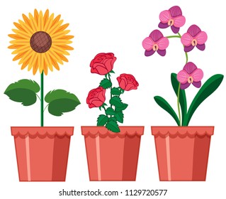 A Set of Flower in Pot illustration